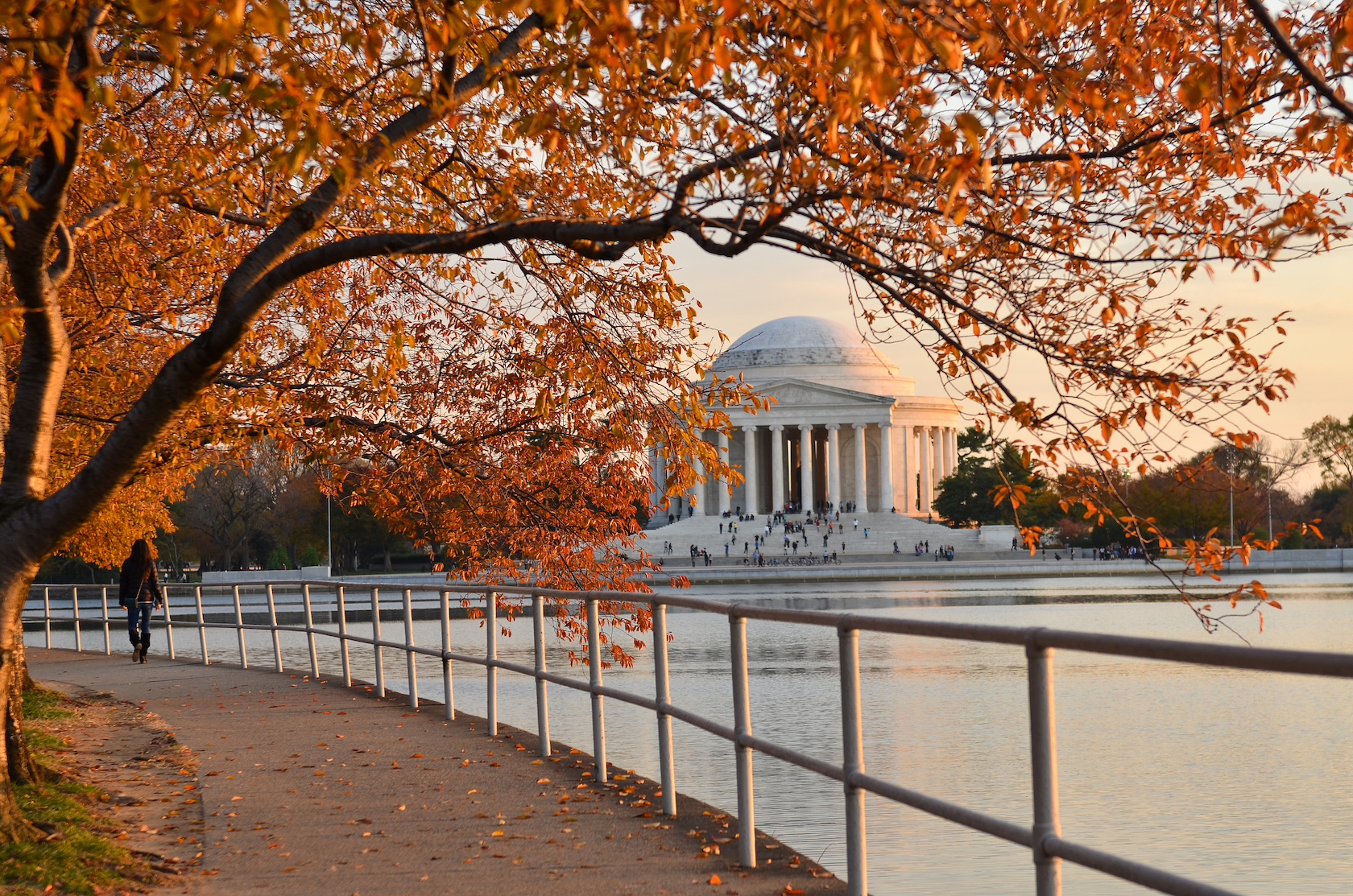 Fall at the Jefferson Memorial