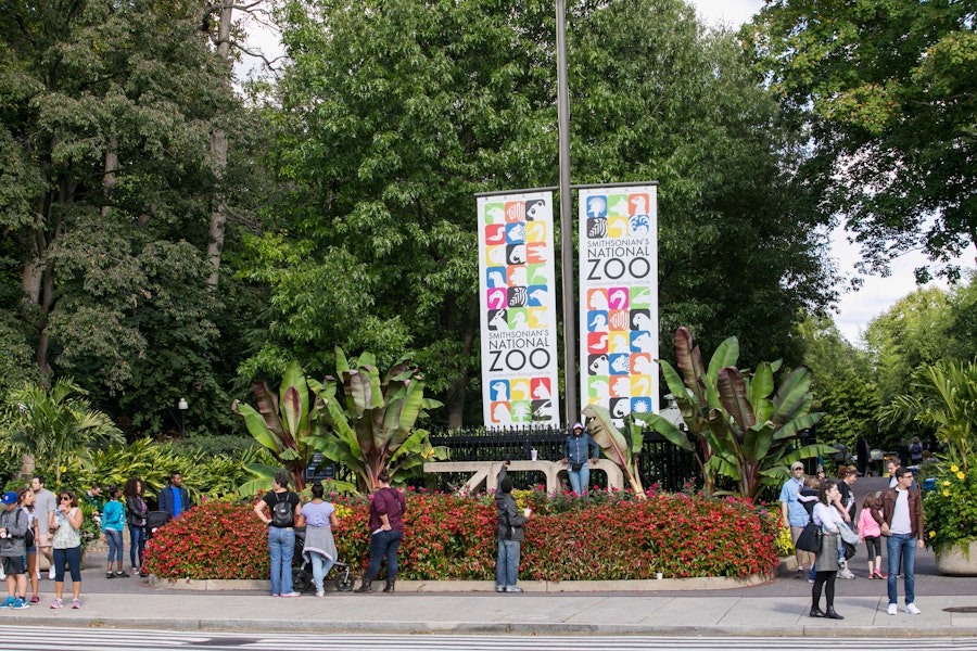 Entrance to the Smithsonian's National Zoo in Washington, DC, featuring colorful banners, lush greenery, and visitors gathered near vibrant flowerbeds.