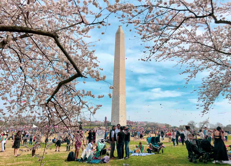 Free and family-friendly National Cherry Blossom Festival Blossom Kite Festival on the National Mall - Must-see Washington, DC events