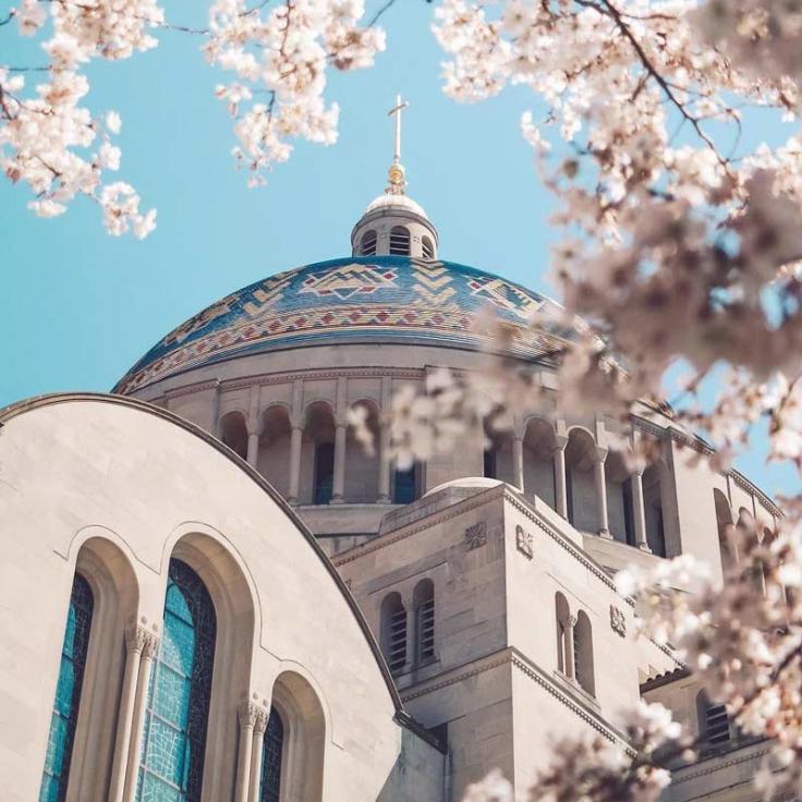 @mattschmalzel - Spring cherry blossoms at the Basilica of the National Shrine of the Immaculate Conception - Things to do in Washington, DC