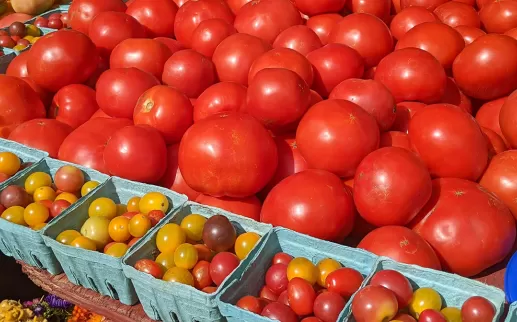 Dupont Circle's farmers market fruit and vegetable display 