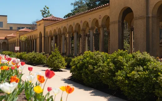 A view of the Franciscan Monastery's gardens, filled with tulips and flanked by arched walkways. 