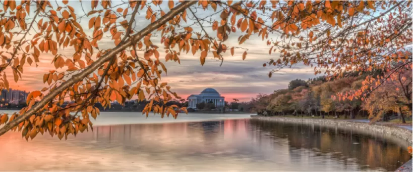 Jefferson Memorial and tidal basin at fall