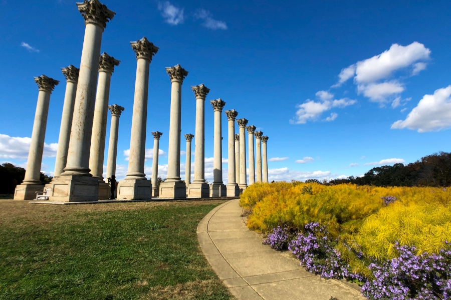 U.S. National Arboretum in Fall