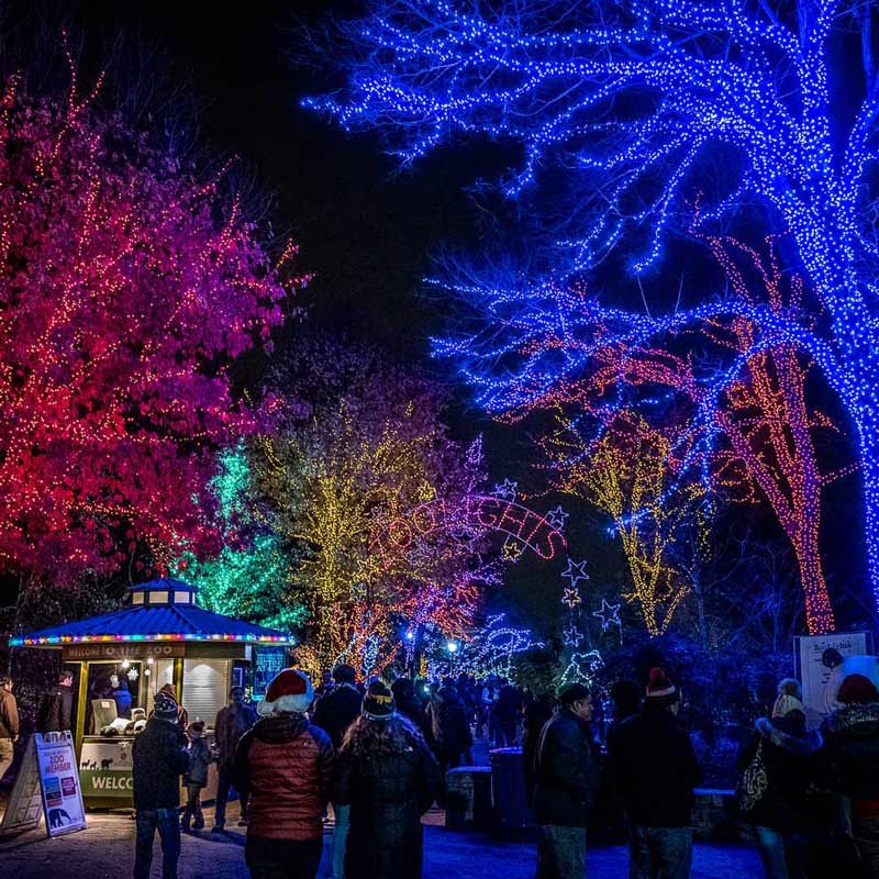 @fiz1point5 - ZooLights winter holiday celebration at Smithsonian National Zoo - Free family friendly things to do in Washington, DC
