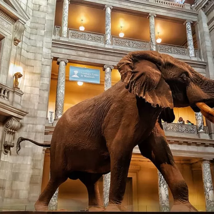 Smithsonian&#039;s National Museum of Natural History