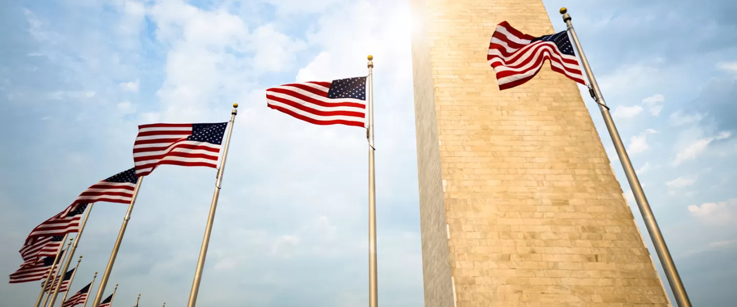 US Flags around Washington Monument