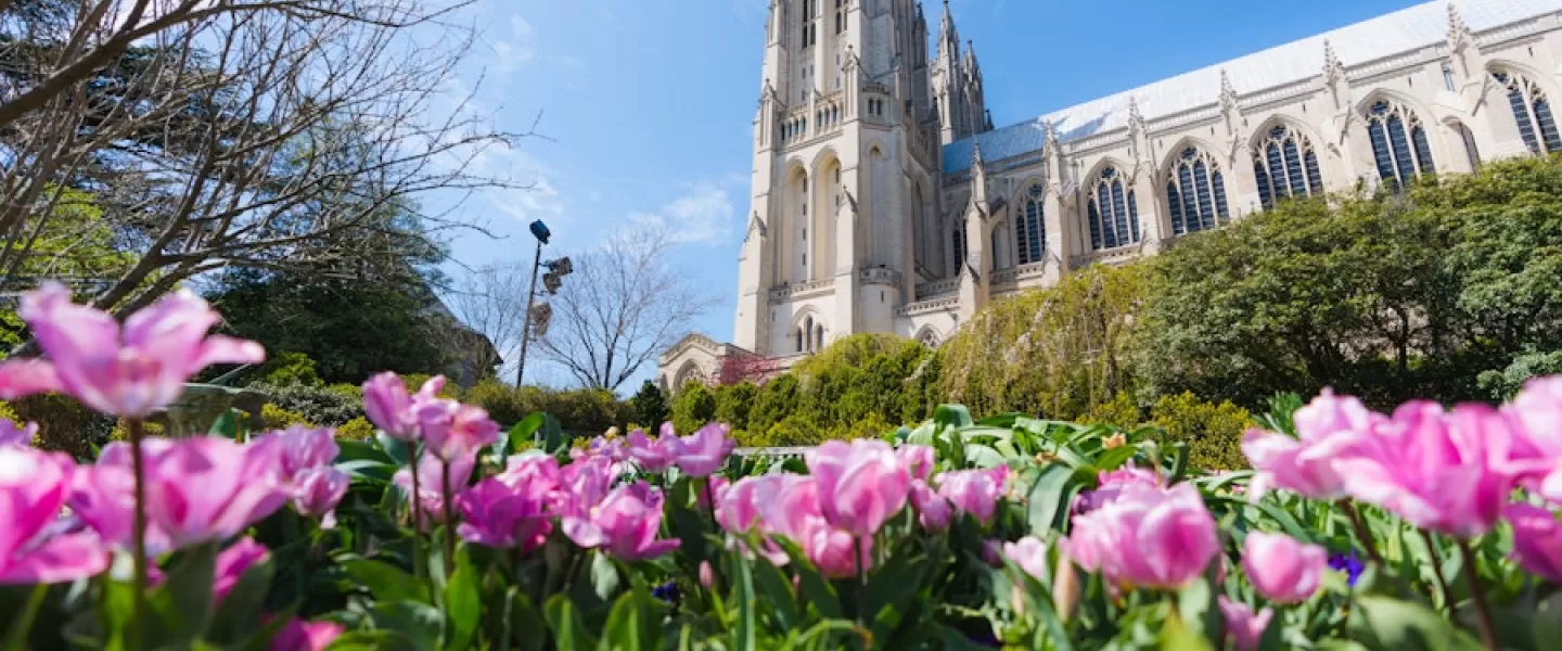 National Cathedral with some flowers 