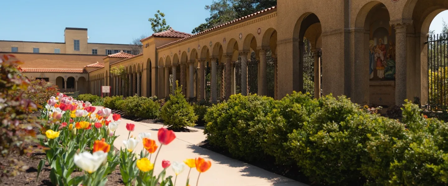 A view of the Franciscan Monastery's gardens, filled with tulips and flanked by arched walkways. 