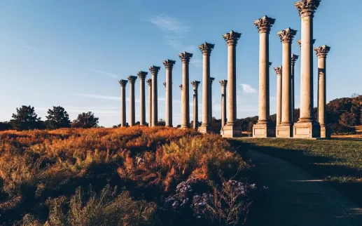 United States National Arboretum
