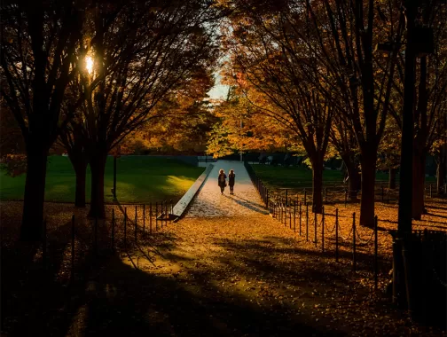 washington dc