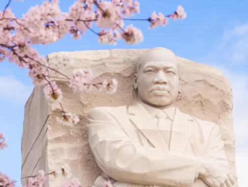 Martin Luther King Jr. Memorial in Spring