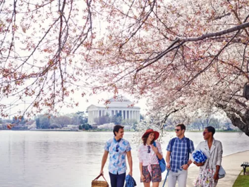 Washington, DC Itineraries - Plan Your Trip to DC