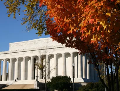 washington dc