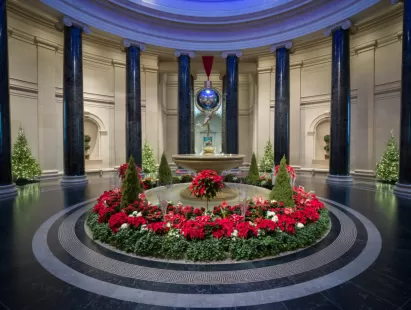 washington dc