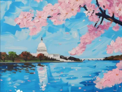 washington dc
