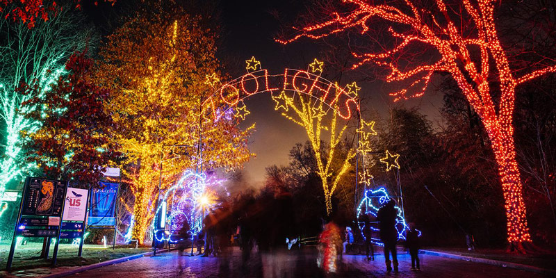 ZooLights at the Smithsonian National Zoo - Holiday Displays in Washington, DC